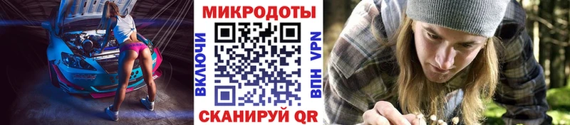 hydra   как найти наркотики  Ейск  Псилоцибиновые грибы ЛСД 