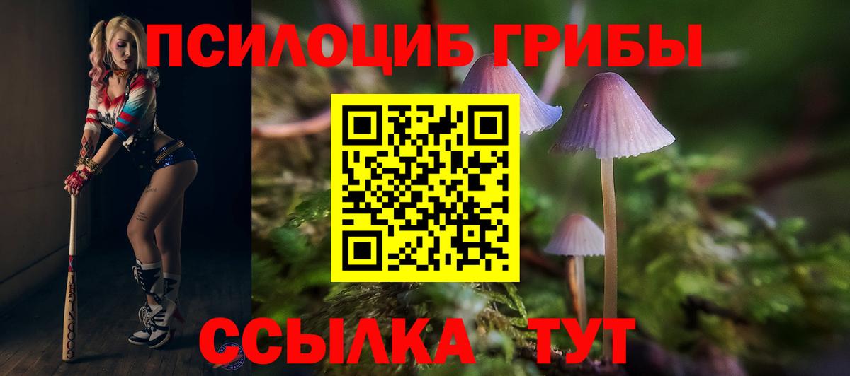 Ейск  Псилоцибиновые грибы Psilocybine cubensis  Псилоцибиновые грибы MAGIC MUSHROOMS  Вход с VPN 