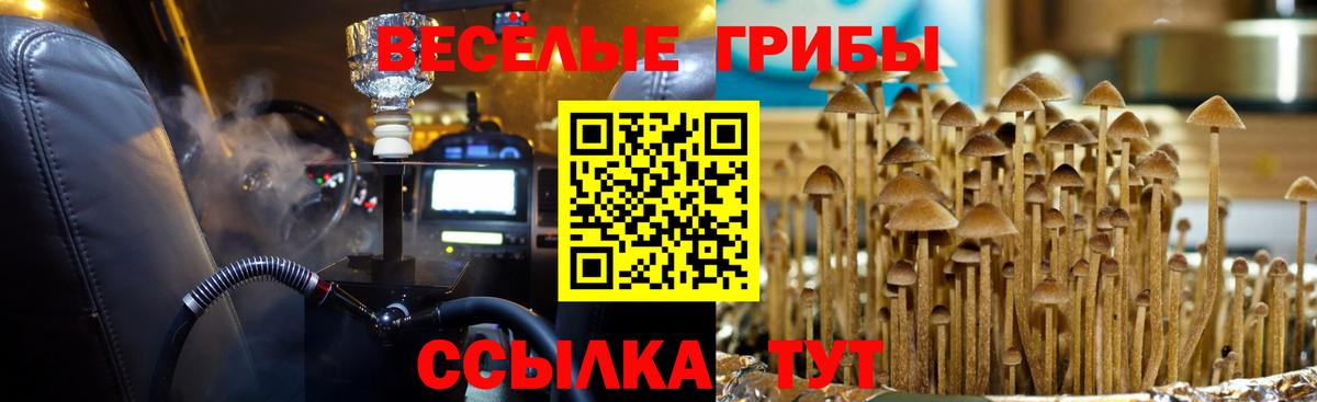 Галлюциногенные грибы прущие грибы Ейск